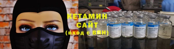 шишки Беломорск