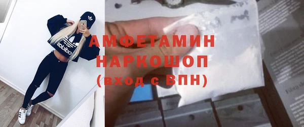 шишки Беломорск