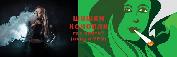 шишки Беломорск