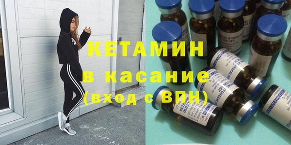 шишки Беломорск
