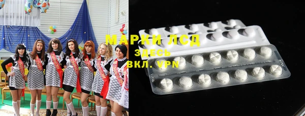 шишки Беломорск