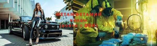 шишки Беломорск