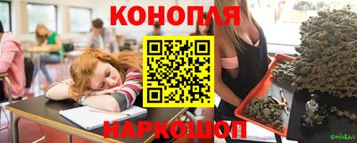 прущие крисы Новозыбков