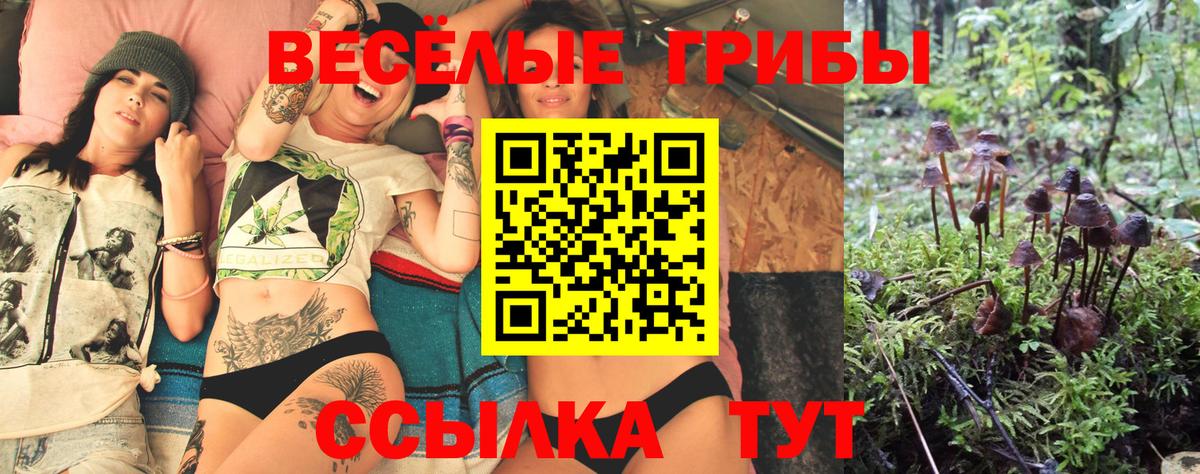 Псилоцибиновые грибы GOLDEN TEACHER  Вход с VPN  Сердобск  Галлюциногенные грибы Magic Shrooms 