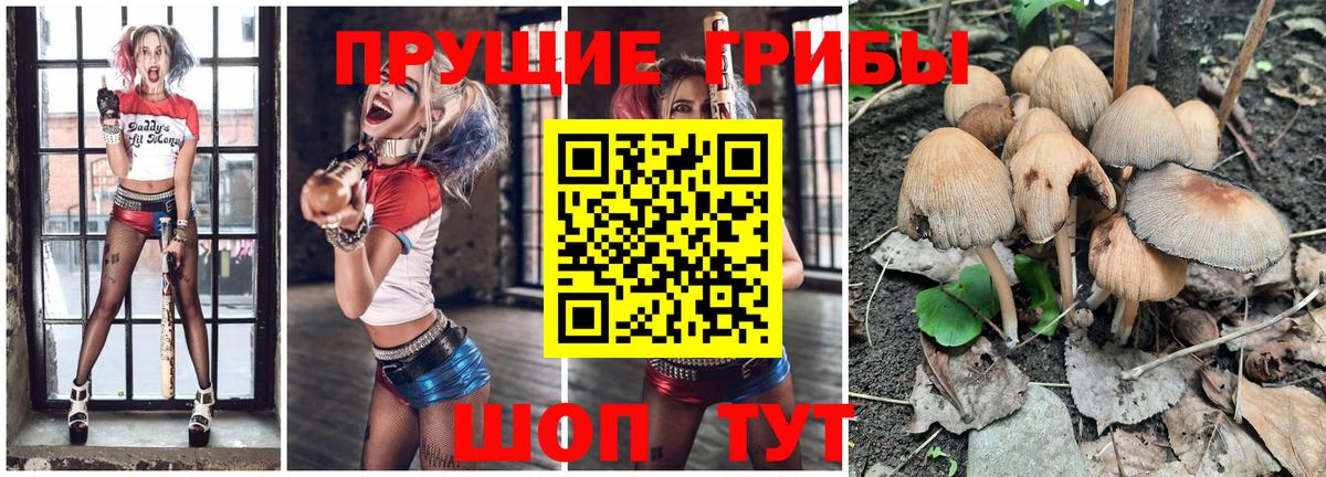 Галлюциногенные грибы Psilocybine cubensis Сердобск